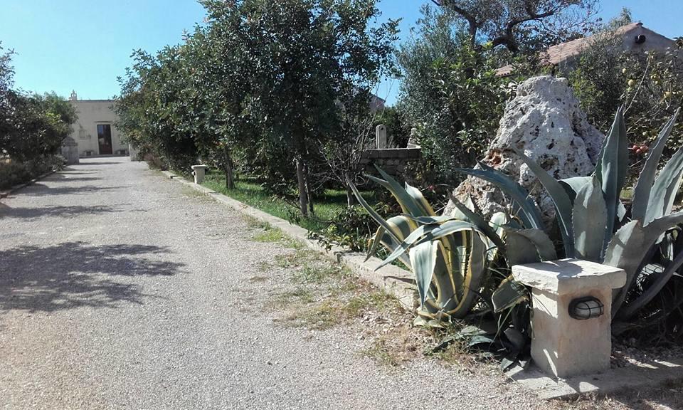 Masseria Sucea Мартано Екстериор снимка